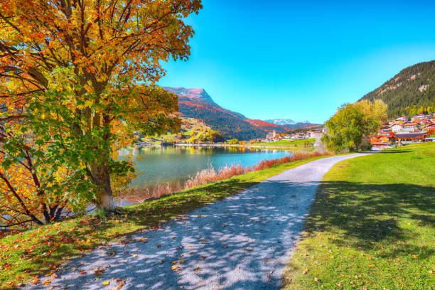 istock Splendid autumn panorama of Haidersee 1188071463