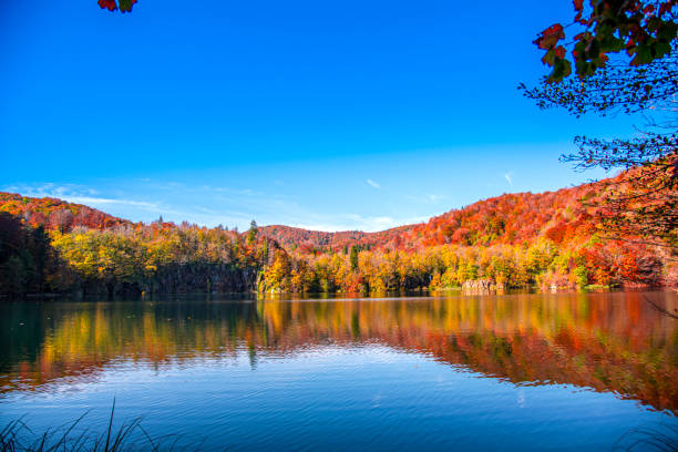 istock Beautiful autumn landscape in Plitvice Jezera Lakes Park 1188071790