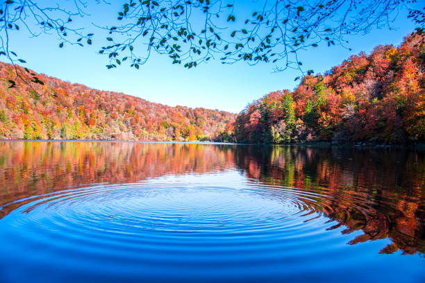 istock Beautiful autumn landscape in Plitvice Jezera Lakes Park 1188072211
