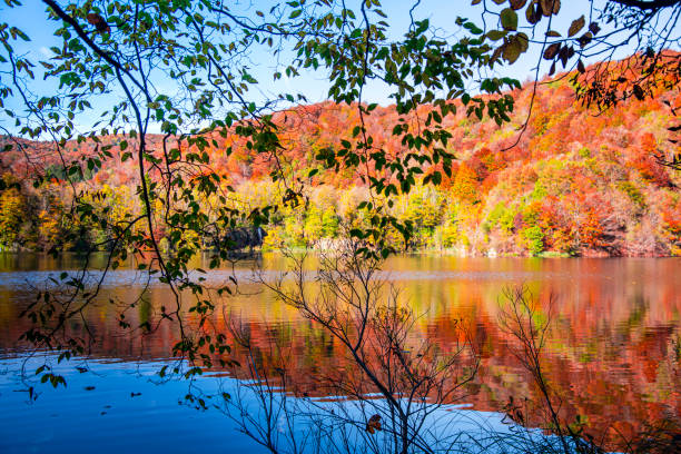 istock Beautiful autumn landscape in Plitvice Jezera Lakes Park 1188074196