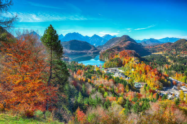 Neuschwanstein Castle in autumn
