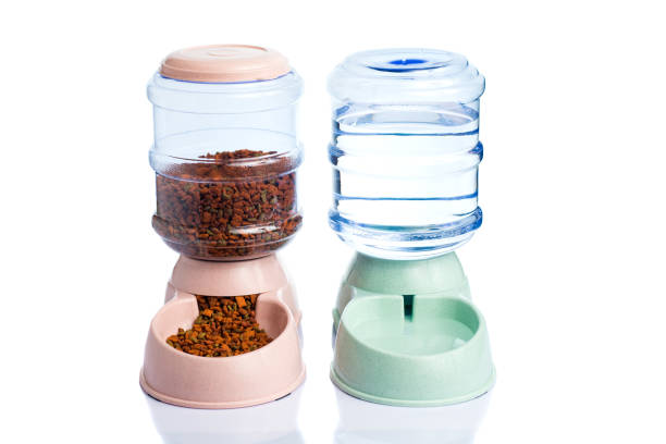 istock Pet water Storage or water Dispenser on a white background 1188086361