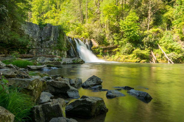 parque nacional fumarento da montanha da angra dos cades - gatlinburg great smoky mountains national park nature water - fotografias e filmes do acervo