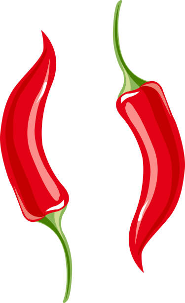red pepper red pepper vector red bell pepper stock illustrations