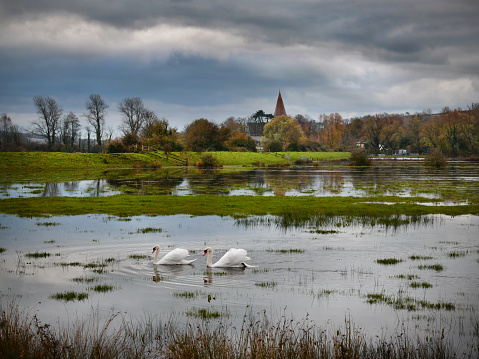 The East Sussex downland village of Alfriston transformed into a Swan Lake by the River Cuckmere in flood