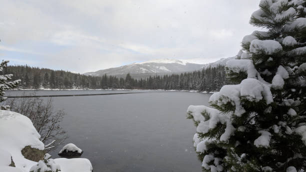 istock Bear Lake Rocky Mountain National Park Winter 1188093424