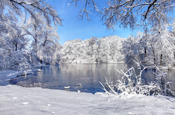зима в бостонском парке франклин - boston winter snow massachusetts стоковые фото и изображения