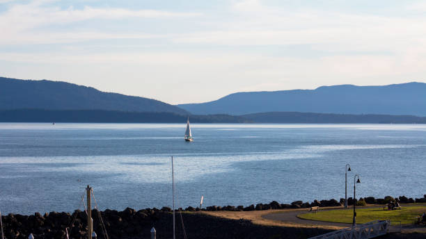 istock Harbor scenes in Bellingham, Washington 1188107401