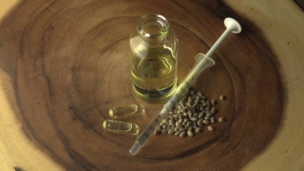 licensed cannabis cbd oil for medical purposes. background with small glass jars and syringe, for oral use only. hydroponic biological seeds and marijuana plant on wood table. - equimpent imagens e fotografias de stock