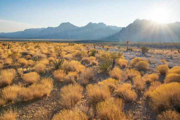 Red Rock Canyon, Nevada