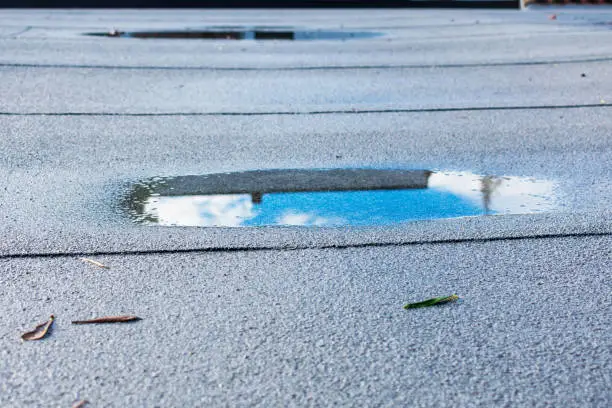 Ponding rainwater on flat wavy roof after rain is result of drainage problem. Roof leaking, waviness, settling, sagging, framing issues, rotten or saturated sheathing.