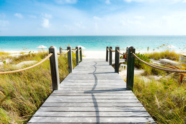 istock walkway leading to Caribbean beach 1188118597