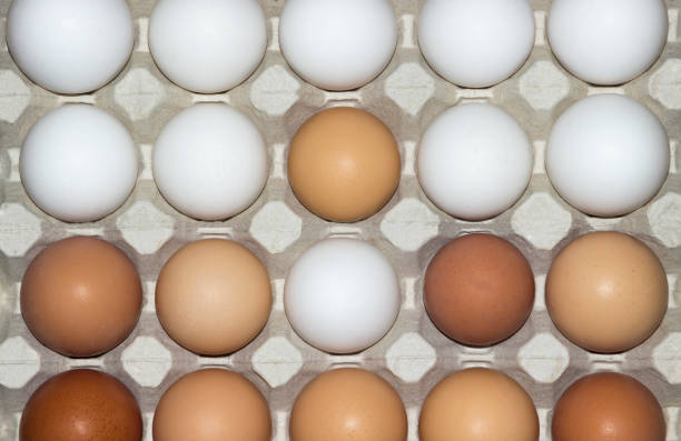 istock White, Orange, Multi-Colored Large Cell with Natural Grocery Eggs 1188135528