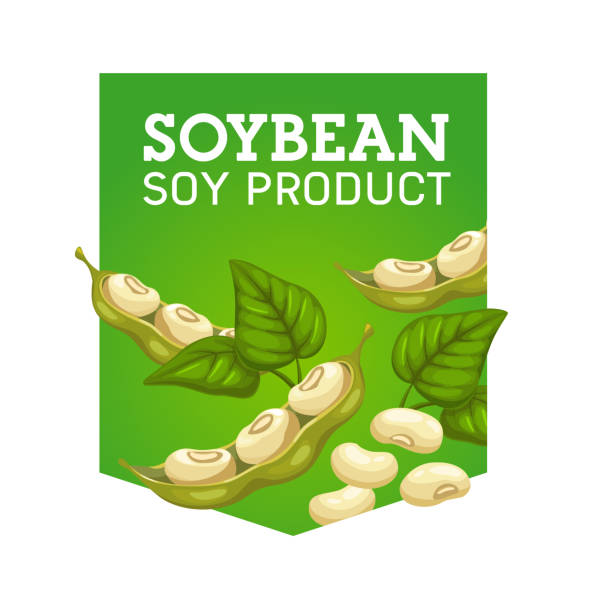 葉の入った大豆ポッド。ベクター大豆製品 - soybean bean edamame pod点のイラスト素材／クリップアート素材／マンガ素材／アイコン素材