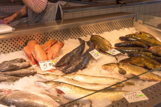 리가 중앙 시장에서 신선한 생선. 라트비아 리가의 수산 시장에서 얼음에 생선. - salted market supermarket meat 뉴스 사진 이미지