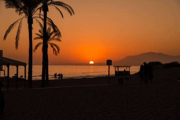 Palm Trees Silhouette At Sunset in the beach. Malaga, Andalusia, Spain.