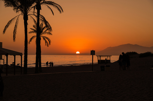 Palm Trees Silhouette At Sunset in the beach. Malaga, Andalusia, Spain.