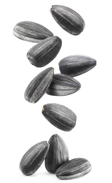 istock Falling sunflower black seeds on white 1188152534