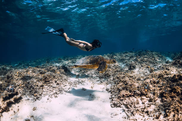 Woman freediver glides underwater with sea turtle.