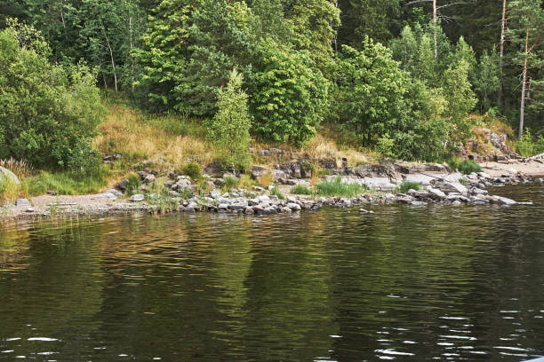 Typical Karelian landscape on the island of Valaam: forest of conifers, Lake Ladoga, crag and volcanic rocks. Russia, Karelia.