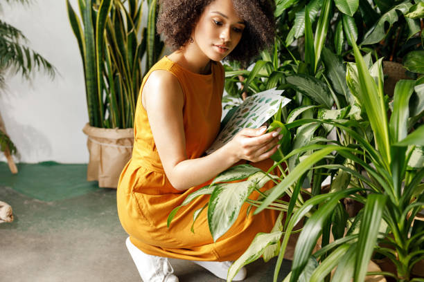 istock Woman botanist sitting observing plant at her botanic workshop 1188157666
