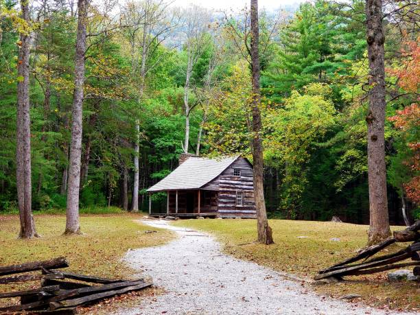 la carter shields cabin su cades cove scenic loop a townsend, tennessee. - cades foto e immagini stock