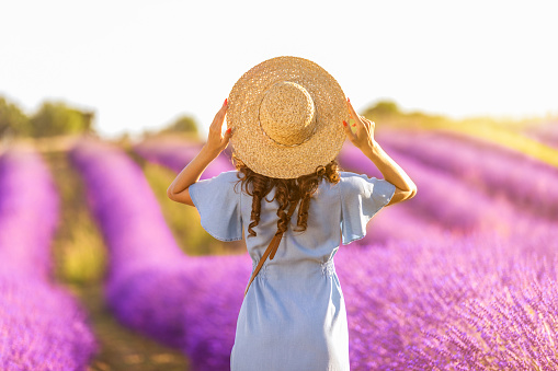 Young woman in lavender fields