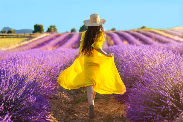 mujer corriendo en campo de lavanda - flower nature lavender lavender coloured fotografías e imágenes de stock