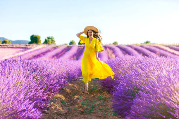 frau läuft auf einem lavendelfeld - flower nature lavender lavender coloured stock-fotos und bilder