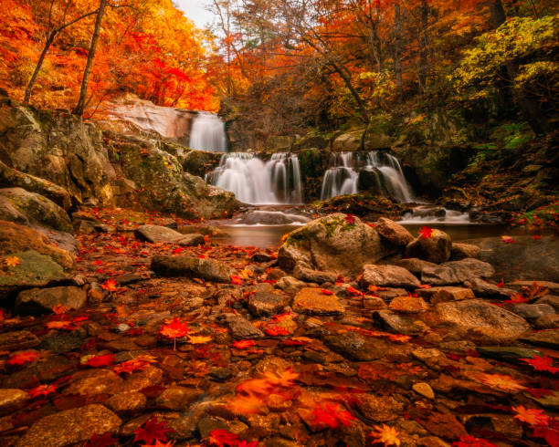 istock Autumn mapple leaves and breathtaking waterfall 1188168931
