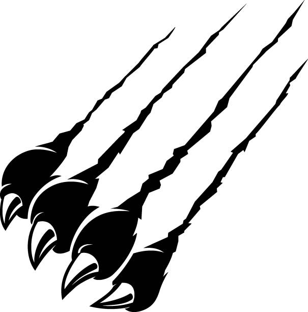Rip Claw Black Panther, Wild Animal Isolated vector illustration of torn paper surface and large cat sharp claws angry cat silhouette stock illustrations