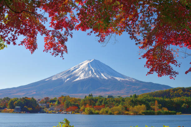 mt fuji and autumn leaf color: vue du lac kawaguchi, japon - japanese maple leaf water japan photos et images de collection