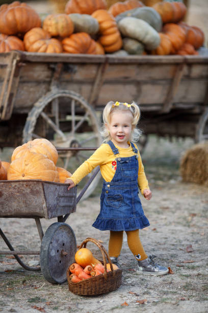 nettes kleines mädchen mit spaß mit riesigen kürbissen auf einem kürbis-patch. - pumpkin child little girls pumpkin patch stock-fotos und bilder