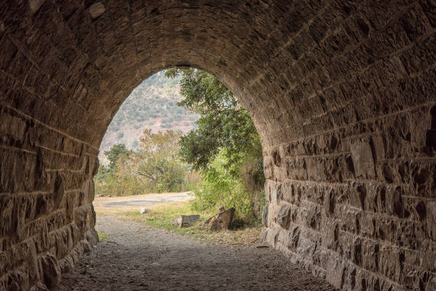 istock Eastern exit of the historic railroad tunnel at Waterval Boven 1188172418