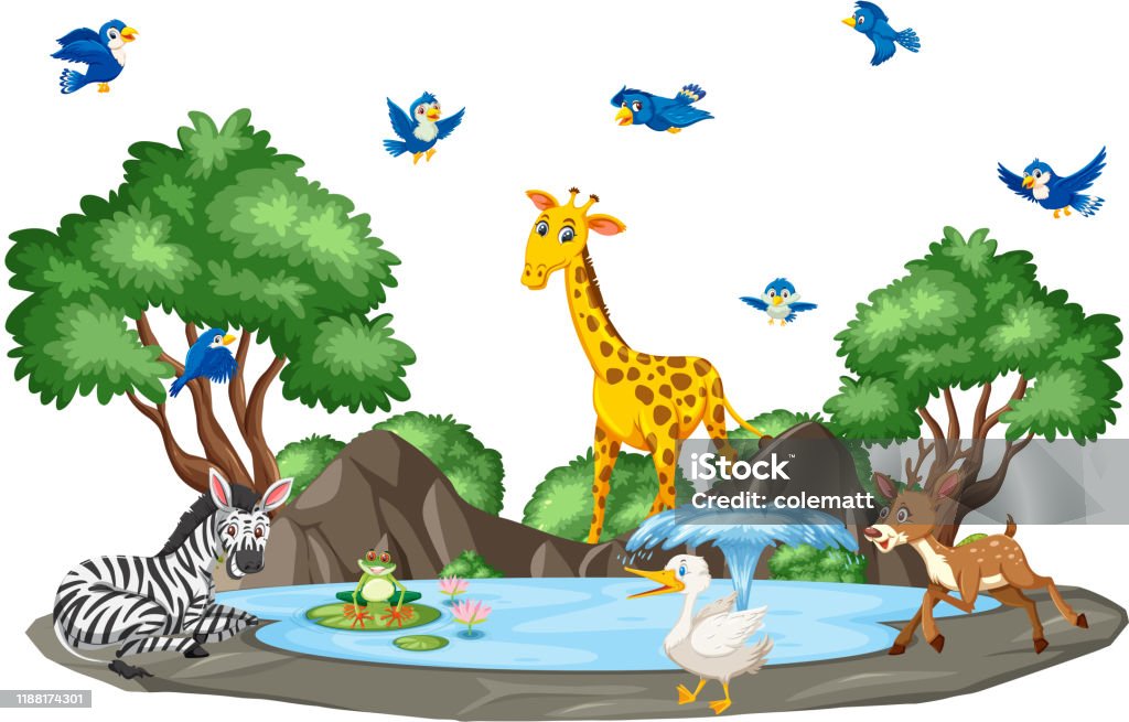Background Scene Of Wild Animals And Pond Stock Illustration - Download  Image Now - Amphibian, Animal, Animal Wildlife - iStock