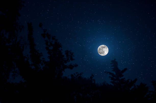 istock Long exposure shot. Mountain Road through the forest on a full moon night. Scenic night landscape of dark blue sky with moon. Azerbaijan 1188174821