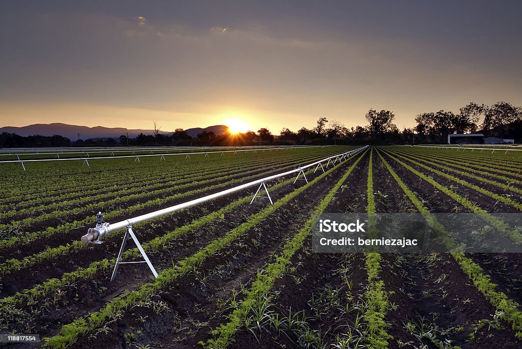 Agricultural Irrigation Sprinkler - Rural Farm Scene  Australia Stock Photo
