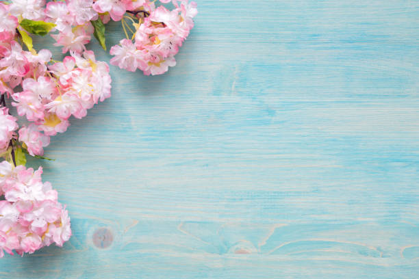 istock Pink flowers on blue wooden background 1188175759