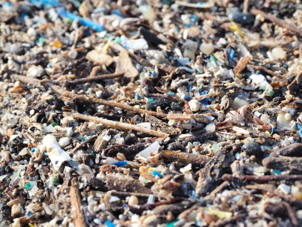 istock Environmental pollution. Sand beaches polluted with pieces of plastic waste. Micro plastics debris on the beach. Pieces of plastic residues 1188176601