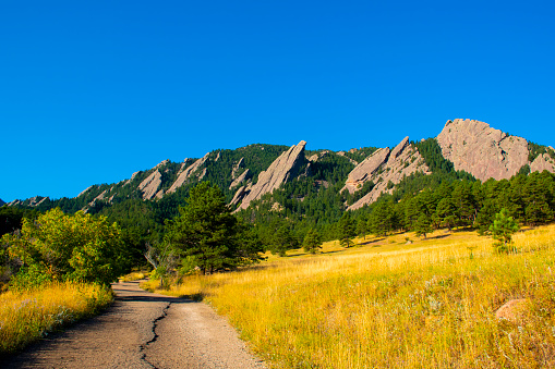 beautiful image of the Flatirons dark granite mountains from below with green and yellow lawns, in Chautauqua Park in Boulder Colorado