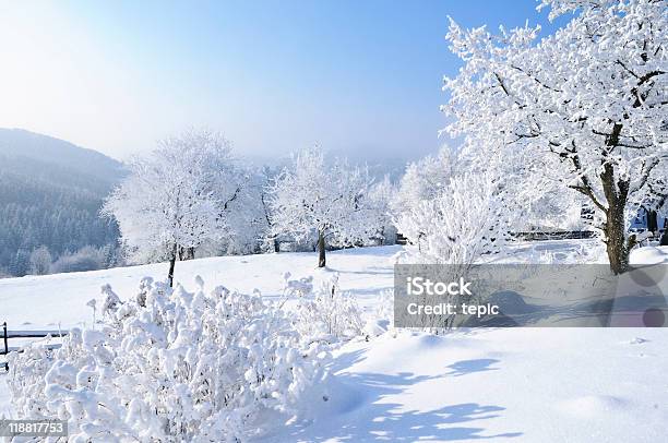인공눈 풍경 나무 눈-냉동상태의 물에 대한 스톡 사진 및 기타 이미지 - 눈-냉동상태의 물, 오버 외스터라이히, 겨울