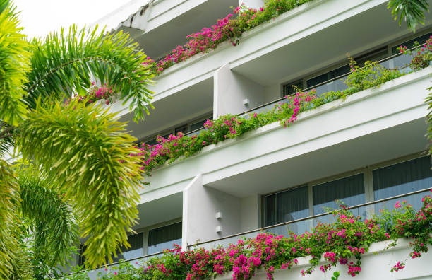 sfondo dell'hotel - luxury hotel palm tree lush foliage asia foto e immagini stock