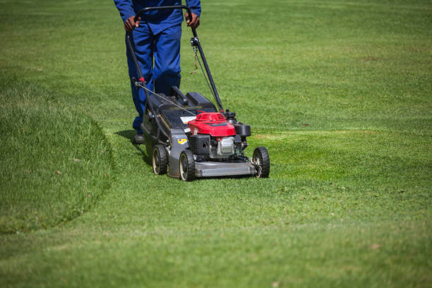 istock Lawnmower cutting green grass 1188178442