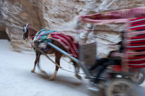 istock Siq of Petra 1188179220