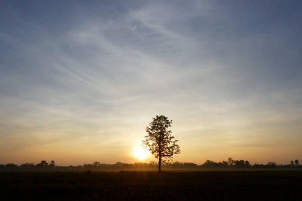 istock Morning sky with Sunrise for nature background. 1188186616