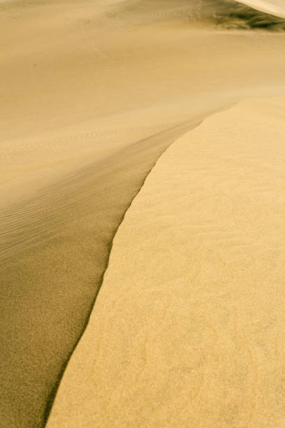 istock The great desert Dunes of Maspalomas in Gran Canary 1188186763