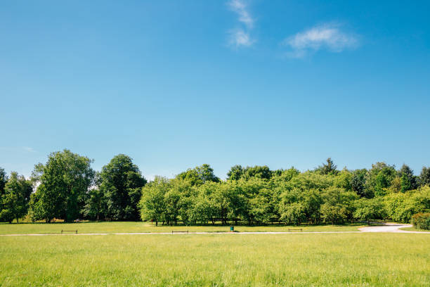Citadel Park, green field with blue sky in Poznan, Poland stock photo