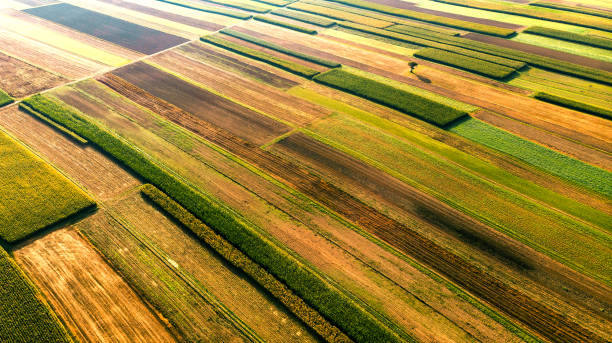 istock Farm Fields Cultivated in Vibrant Colors. Aerial Drone View 1188190616
