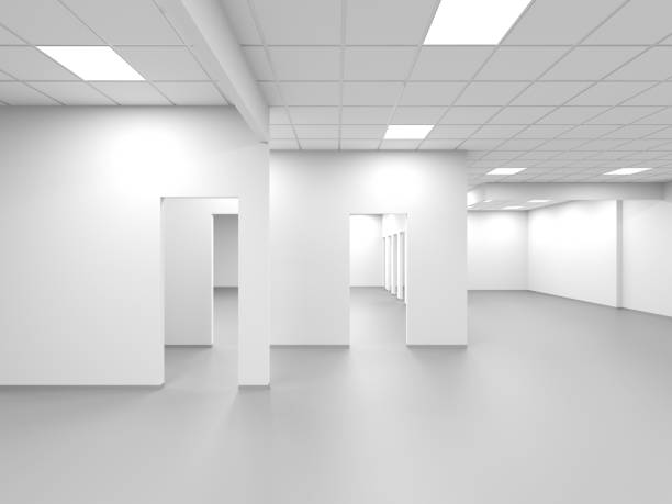 istock An empty office with white walls and blank doors 1188190835