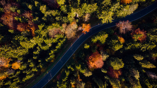 istock Road Trough Forest at Fall Season. Top Down Drone. Colorful Foliage 1188190888